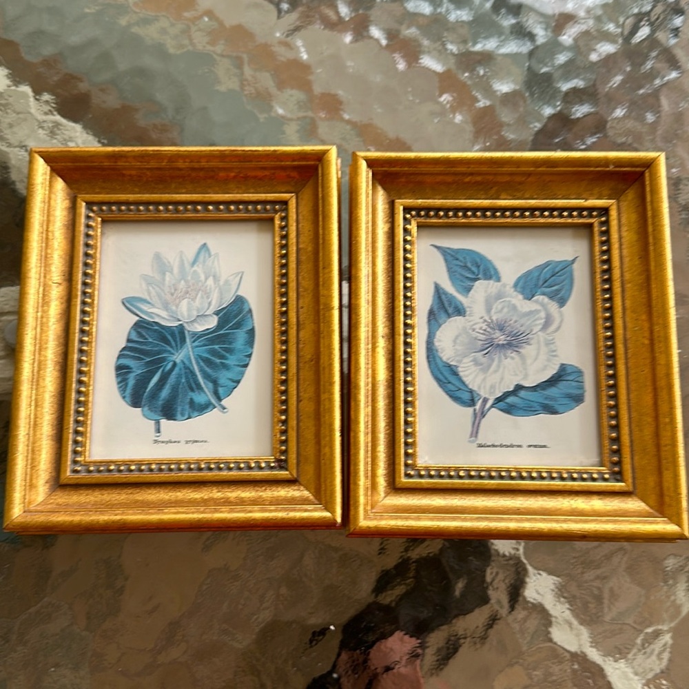 Pair of flowered pictures in gold frame. 4 1/2” wide x 5 1/2 length. Blue colors